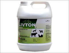 LIVTON HERBAL POWDER (Herbal Liver Toner)