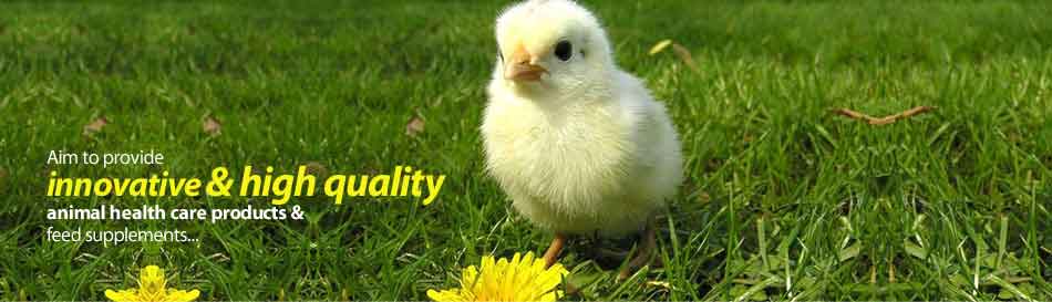 Poultry Feed Products