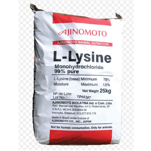 L Lysine HCL (Feed Grade)